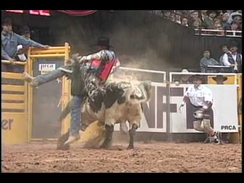 1999 Bucking Bull Skat Kat Skoal