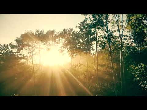 Biognosis Film trailer