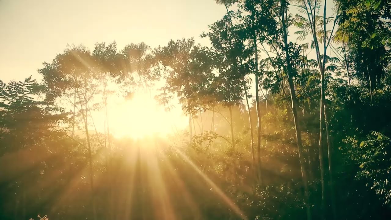 Biognosis Film trailer