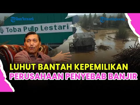 🔵 ISU PT TOBA PULP LESTARI  MEMANAS! LUHUT TEPIKAN TUDUHAN TERLIBAT DALAM KERUSAKAN EKOLOGIS