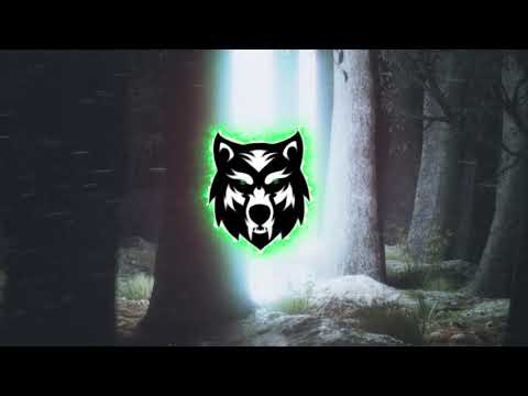 NØCTRIS x DVNEK - GRAD