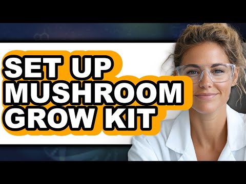 How to Set Up Mushroom Grow Kit (full Guide)