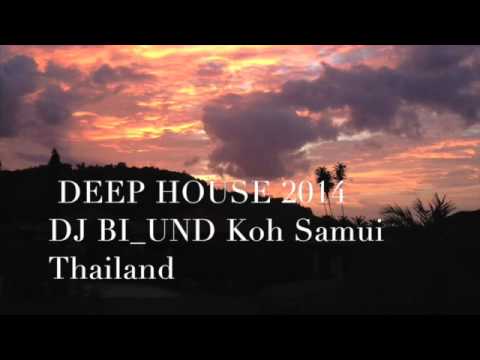 DEEP HOUSE 2014 DJ BI-UND @ DJ SET 13-12-2014