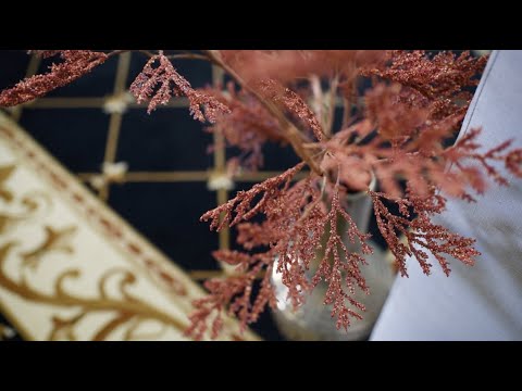 S E N S A T I O N  Collection, by Tayse rugs