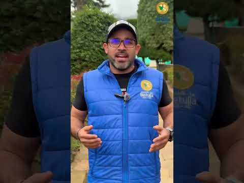 Promoviendo alternativas sostenibles frente al uso de la palma de cera #betuliasantander