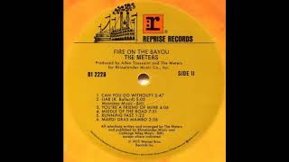 The Meters - Can you do without