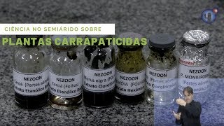 Miniatura do vídeo