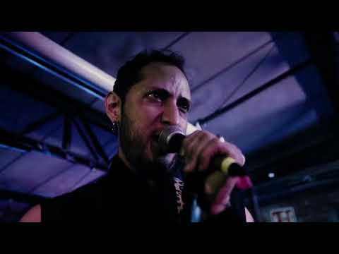 Festival cut Tradicional Preferente