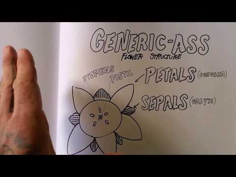 開花植物の識別の概要