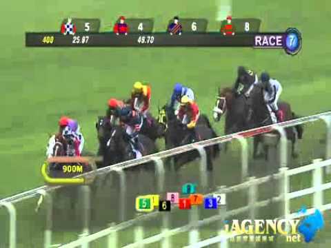 SINGAPORE RACE 17/11/2013 RACE 7 - iAgencyNet.com