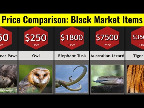 Price Comparison: Black Market Items