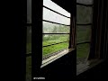 Shorts Laut Aa Mere Des Bhoomi 2022 Shreya Ghoshal New Song Status WhatsApp Status