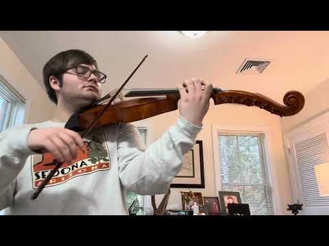 Christian Pezold: Partita in F for Viola D’amore I. Air