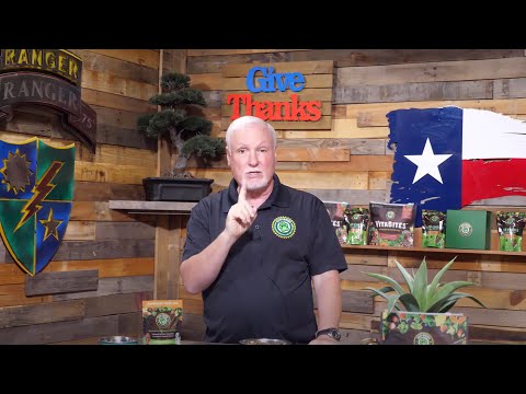 How To Feed Your Dog Ruff Greens