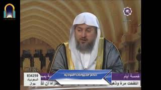 صورة حكم الحيوانات المؤذية