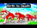 BIRTH TO DEATH Of A PET In Minecraft