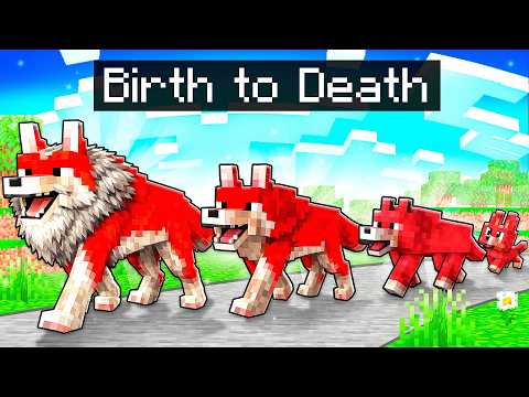 BIRTH TO DEATH of a PET in Minecraft!
