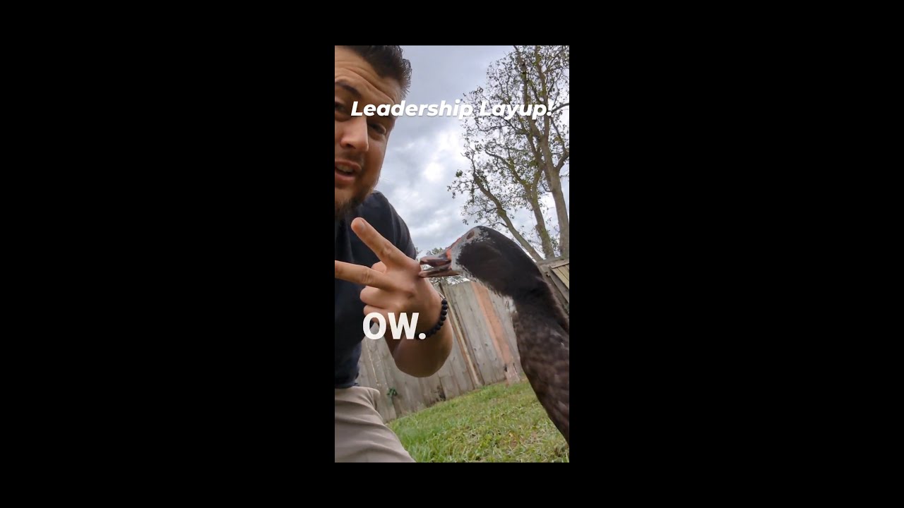 Promotional video thumbnail 3 for Jared Metcalfe - Leadership Head Start