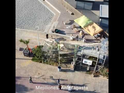 Esqueleto de Ballena - Mejillones - Antofagasta (Drone)