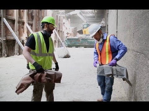 Can Cats Help with Rat Control?