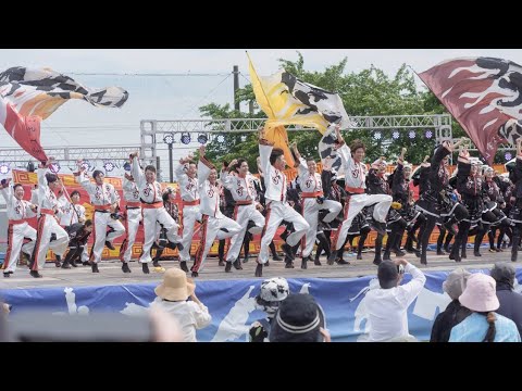 文学言語学科 【関学生TODAY】関学よさこい連 炎流