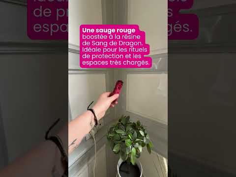 Purification énergétique : Sauge, Palo Santo ou Encens