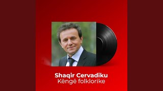 Shaqir Cërvadiku - Liria