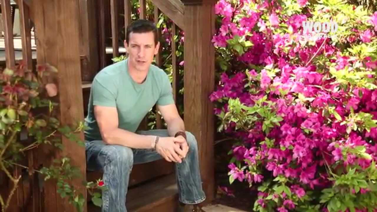 Wood You Like to Know? Staining & Sealing Your Wood Deck