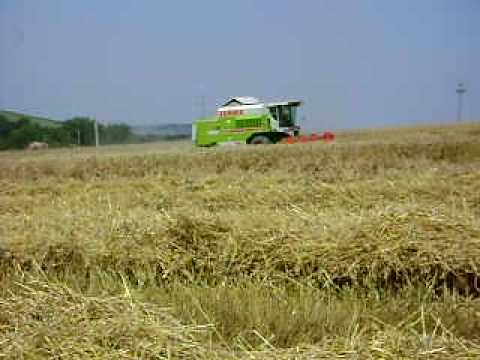 la secerat in sincai fanate 2010