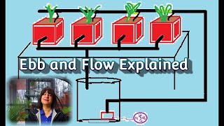 Thumbnail for video: Ebb and Flow Hydroponic System Explained: a.k.a. Flood and Drain Hydroponics