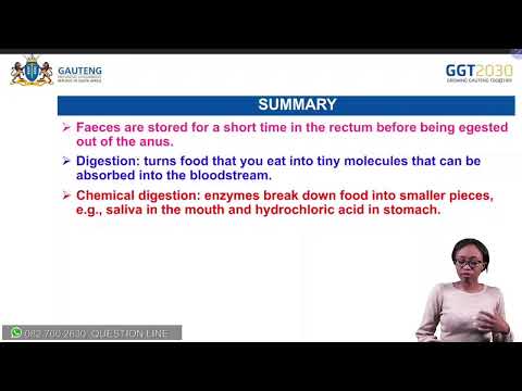 NATURAL SCIENCES GRADE 9: ALIMENTARY CANAL & DIGESTION