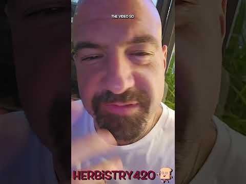 When You Forget You Took an Edible: 5 Relatable Signs