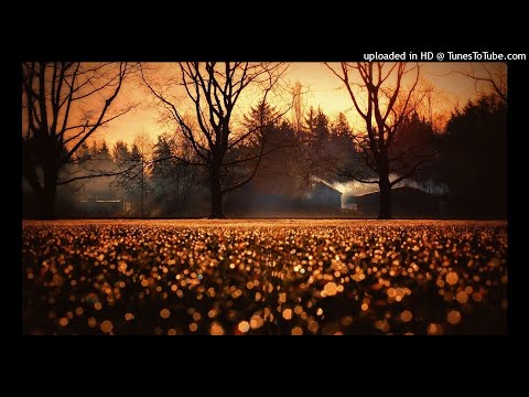 AUEL x Alectricz - Falling Leafs (HD)