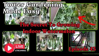 📱 Tower Gardening Made Easy LIVE CAM #towergarden #hydroponicgardening #garden #farm #aeroponic