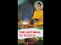 The Last Meal of Buddha #shorts