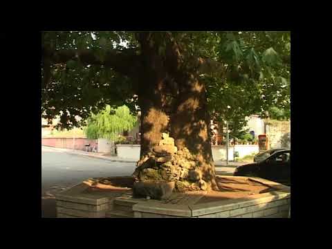 Une te mbolla rradhe e ti me mbive plot  - Jorgji Duro & Sotir Joti