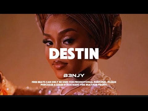 Davido Ft Burna Boy Type Beat "DESTIN" Afrobeat Instrumental 2024 x Emotional Afrobeat Type Beat