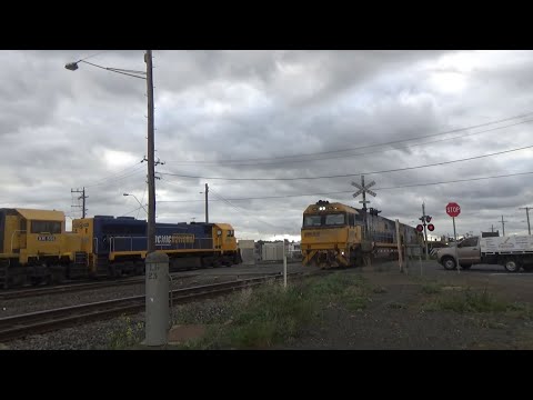 Pacific National XR550, XR555, XR554. NR85, Indian Pacific NR26 4PM4 Steel At North Geelong