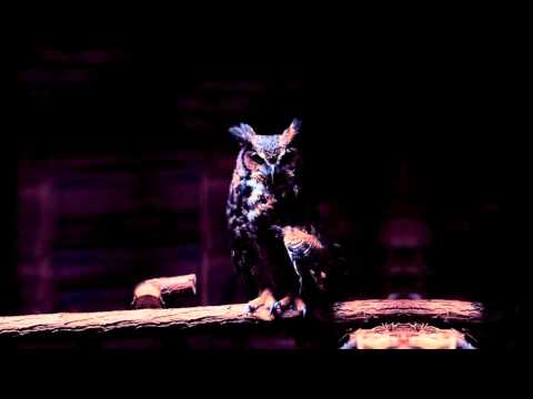 The Inner Devil - Sorrow [Dark Ambient]