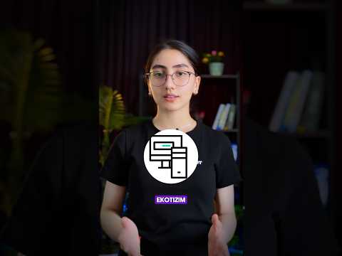 DT.UZ - Biznesni to'liq avtomatlashtirish