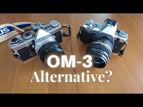 OM System OM-3 Alternative – Is the EM5 Mark II the Hidden Gem?