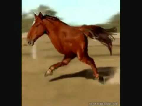 MartinDanteVass’s Video 108534724653 Z37PR0-kdhA