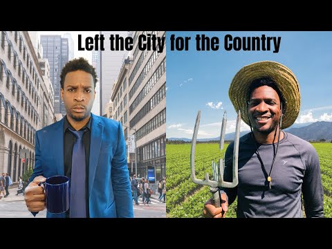 8 Tips on Moving from City to Country | SDA Country Living