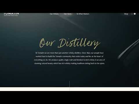 Website UI/UX animation