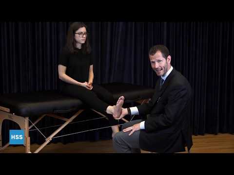 Primary Care Provider Physical Examination: Foot and Ankle
