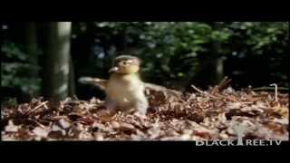 Earth - "Please take care of it"