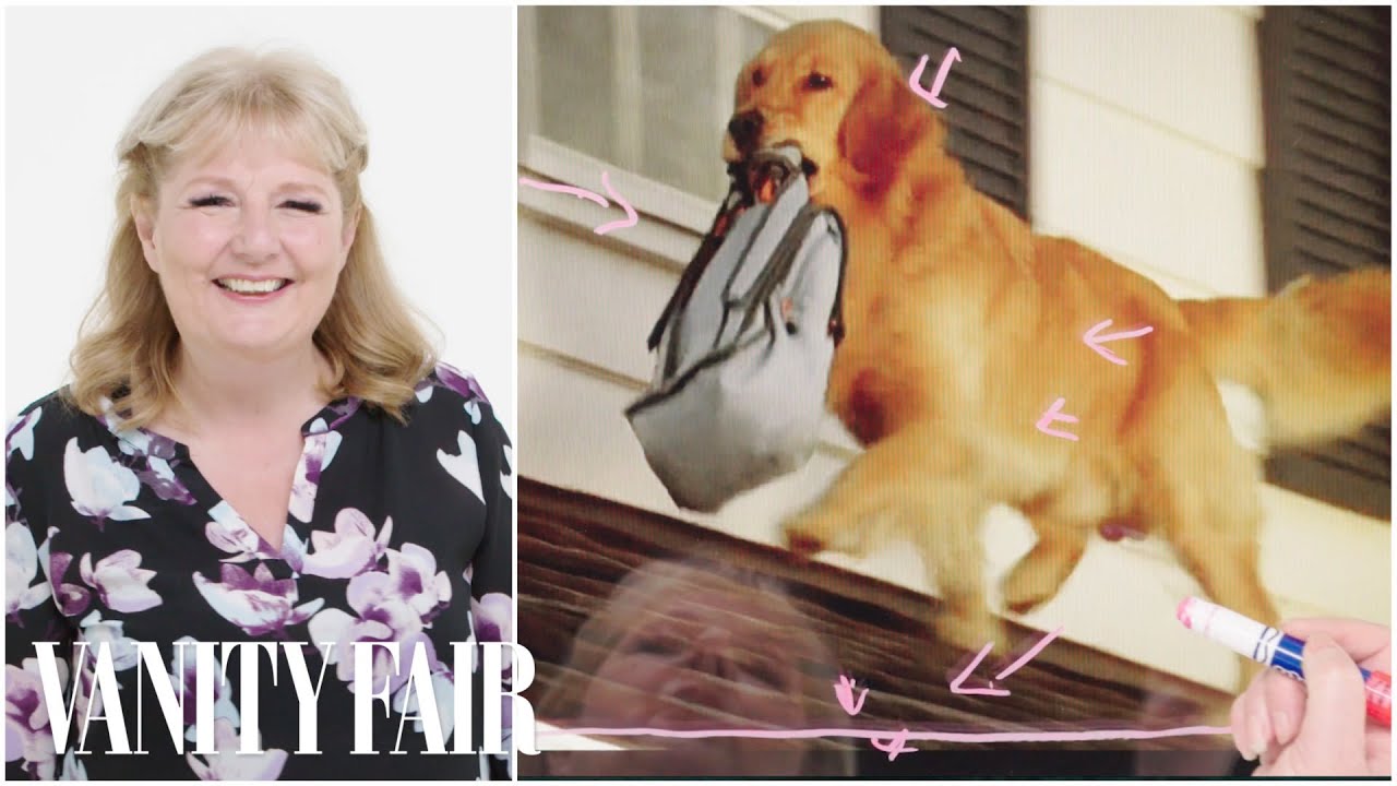 Animal Trainer Breaks Down Dog Acting in Movies | Notes on a Scene | Vanity Fair