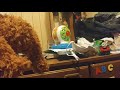 Snuffy Watches The Columbia Tristar Home Video Logo For Blake Hinson