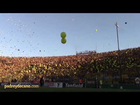 ""Hoy te vinimos a ver " - Hinchada Peñarol Campeón Uruguayo 2017" Barra: Barra Amsterdam • Club: Peñarol