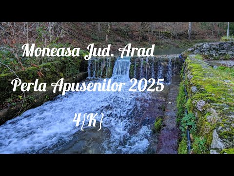 Moneasa Perla Județului Arad 2025 (4K)